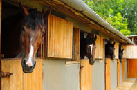 free Mothecombe stable construction quotes